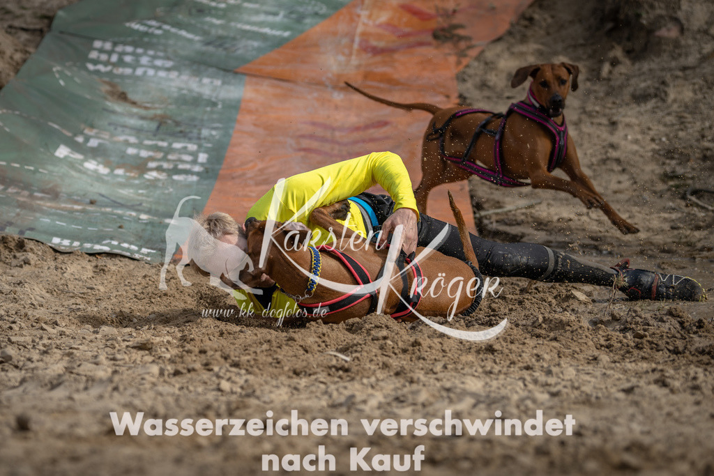 1027DSC_6399 | kk-dogfotos