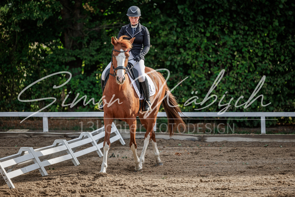 20260905-_3LI7079 | Tierfotografie Pferde, Hunde, Katzen, Haustiere.
Turnierfotografie Reitturniere, Reiten, Springreiten, Dressur in Hanau, dem Main-Kinzig-Kreis und dem Rhein-Main- Gebiet um Frankfurt