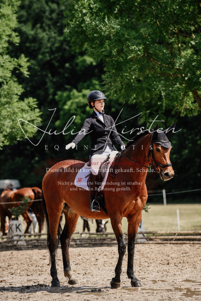 DSC_1028 | Pferde- und Turnierfotografie in Westsachsen. Pferdeportraits, Auftragszeichnungen und intuitive Kunst.