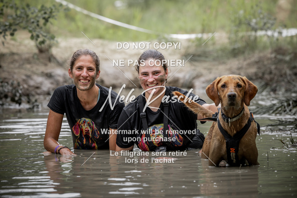 nelerasche_so1445-1515_33 | nelerasche