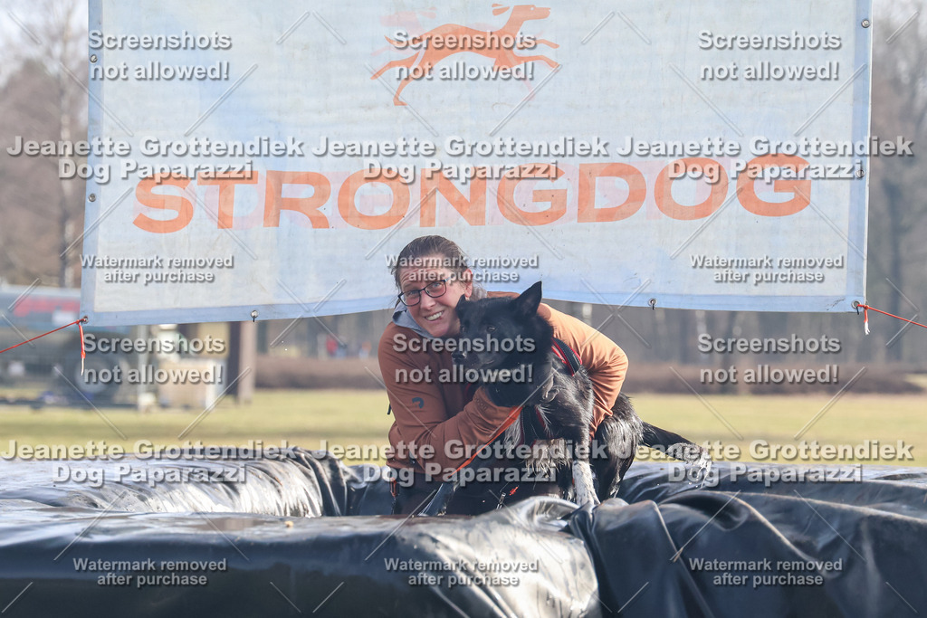Dog Paparazzi - Strongdog North Mrz26-326 | Dog Paparazzi Jeanette Grottendiek Fotografie & Videografie - Realisiert mit Pictrs.com
