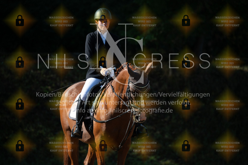 DSC_7920 | Nils Cress - Fotografie - Realisiert mit Pictrs.com