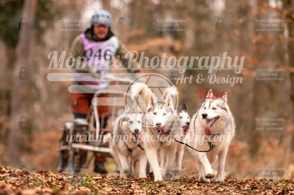 AKM_ST_2023_SAM_DR4-43 | PayLife