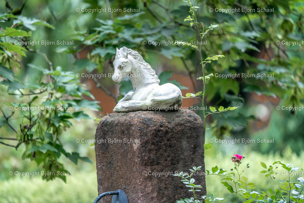 SBS03255 | BS-foto
