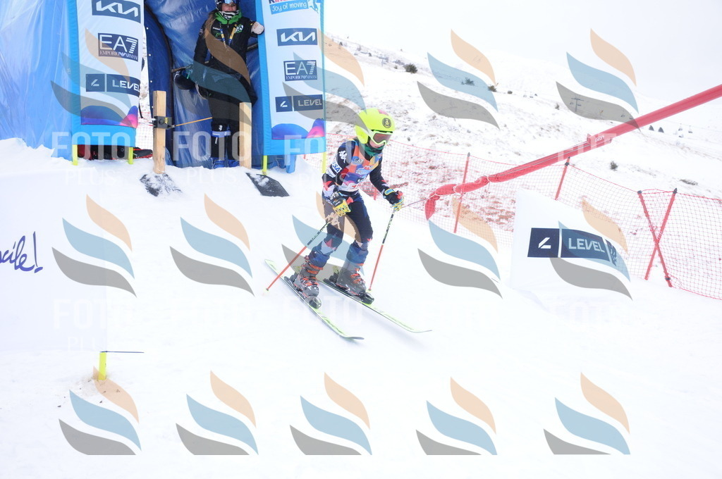 DSC_8753 | holidayphoto