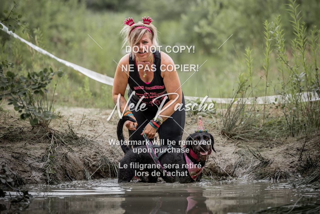 nelerasche_so0800-0930_398 | nelerasche