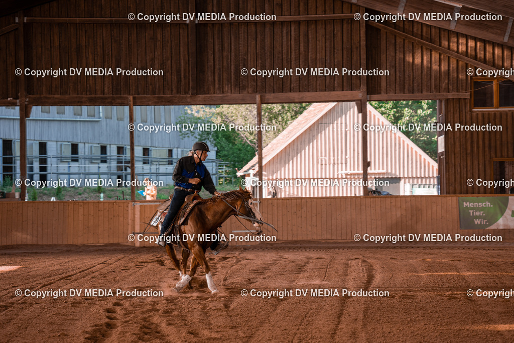 NE201334 | dv-media-shop - Realisiert mit Pictrs.com