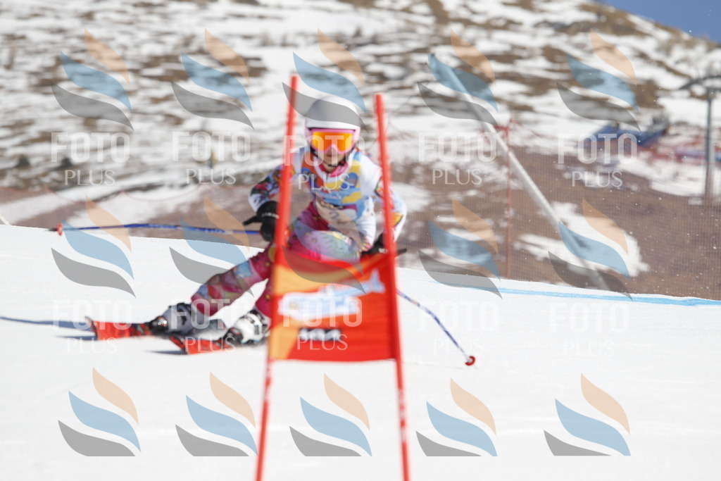 _U3G8504 | holidayphoto