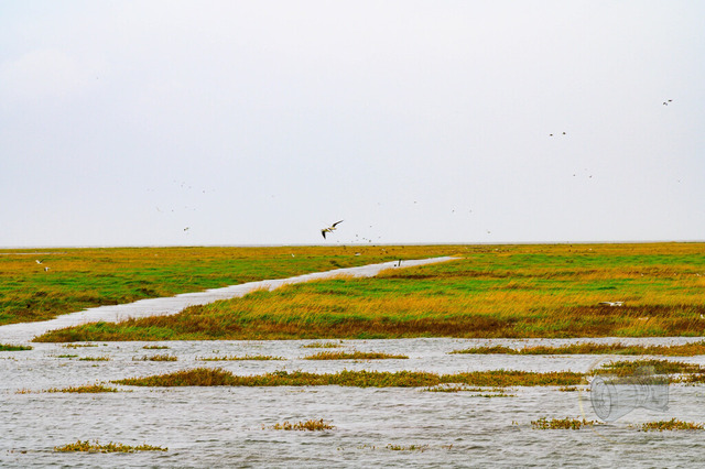 _DSC3003-2-3 | Shop für Prints Landschaftsfotografie Sächsische Schweiz Naturfotografie in Thüringen Fotos vom Findlingspark Nochten Kloster Sankt Marienstern Bilder Festung Königstein PanoramaRhododendronpark Kromlau FotogalerSchleswig-Holstein Küstenlandschaften
