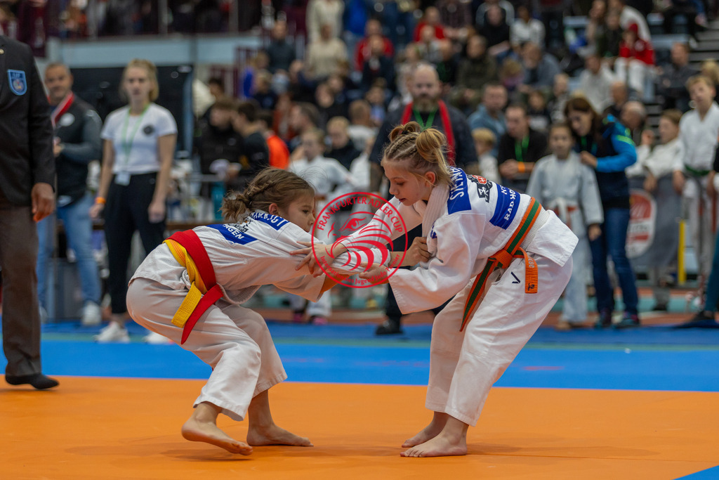 Internationaler Adler Cup 2024 | Foto vom Internationalen Adler Cup Judo Turnier im Sport- und Freizeitzentrum Kalbach im Oktober 2024 - Realisiert mit Pictrs.com