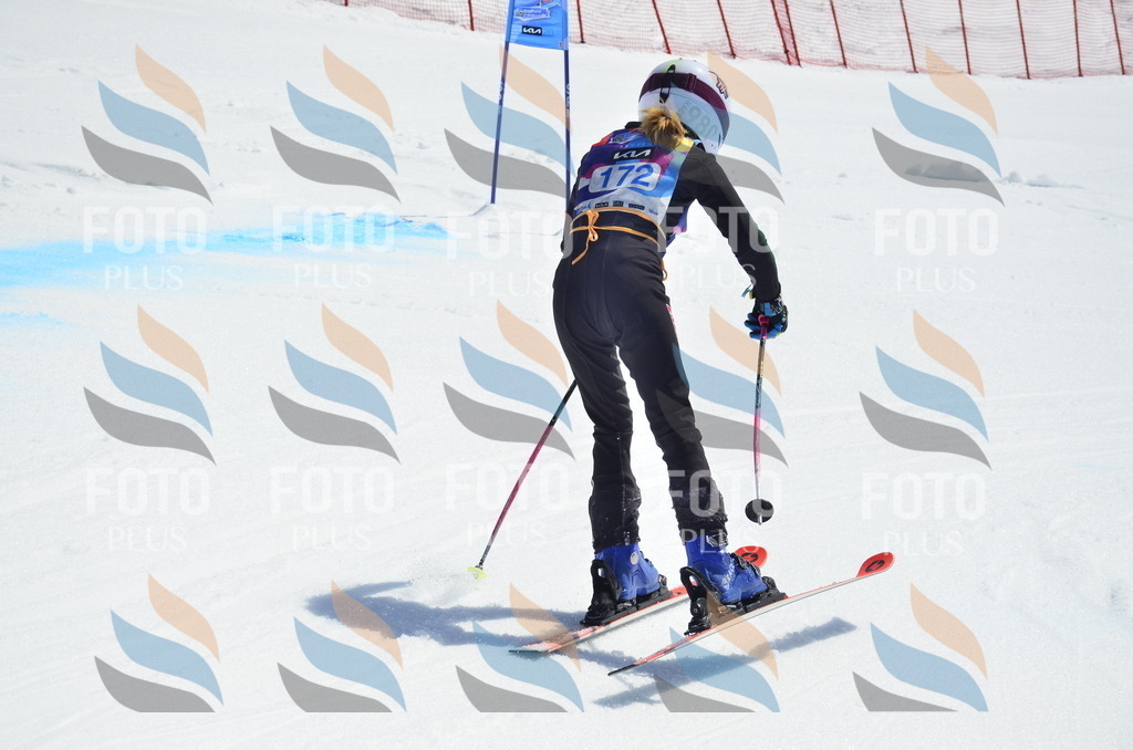 _ELE1161 | holidayphoto