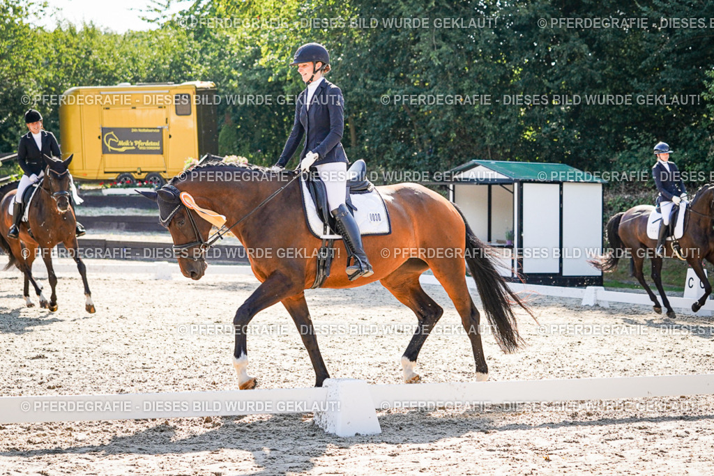 DSC00249 | Pferdegrafie