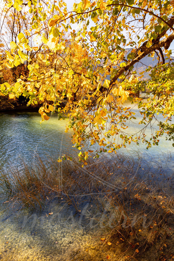 Herbst am Wolfgangsee | Ihre Fotografin im Lungau, ihre Fotografin im Mostviertel, Wandbilder Onlineshop, Imagefotos für Ihr Unternehmen,  - Realisiert mit Pictrs.com