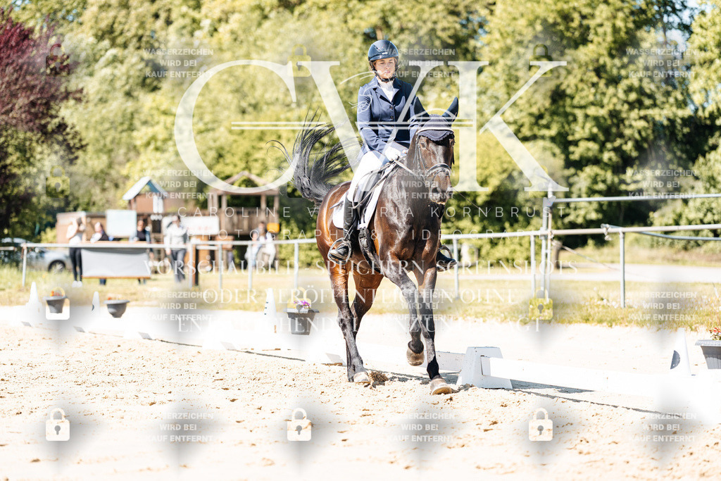 CK905360 | Turnierfotografie Pferdefotografie Trier Rheinland-Pfalz Pferdesport Reitsport Tierfotografie Sportfotografie Pferdevideo Pferdevideografie Equestrianvideography equestrianphotography  - Realisiert mit Pictrs.com