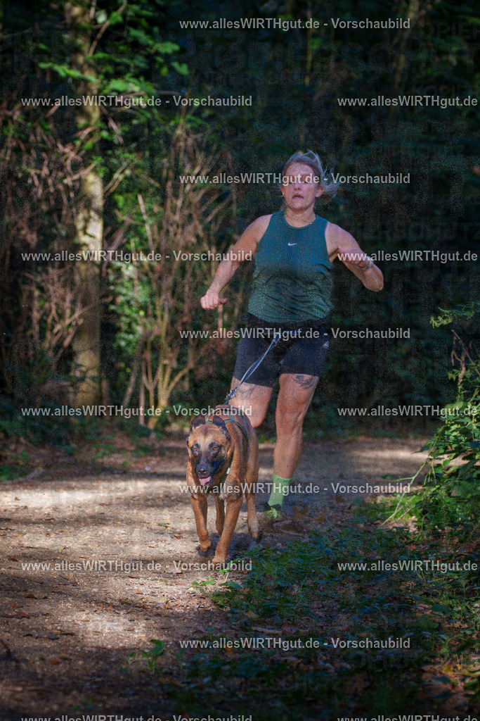 THS_Turnier_27-09-2026-allesWIRTHgut_Tierfotografie-7R505182 | Professionelle Tierfotografie in Mönchengladbach von Daniel Wirth (allesWIRTHgut). Liebevolle & natürliche Bilder von Hunden & Katzen für unvergessliche Erinnerungen.
