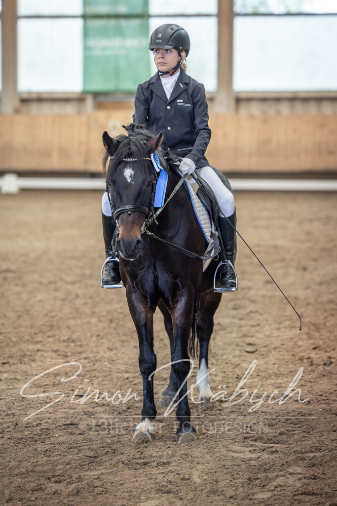 20251011-_3LI8122 | Tierfotografie Pferde, Hunde, Katzen, Haustiere.
Turnierfotografie Reitturniere, Reiten, Springreiten, Dressur in Hanau, dem Main-Kinzig-Kreis und dem Rhein-Main- Gebiet um Frankfurt