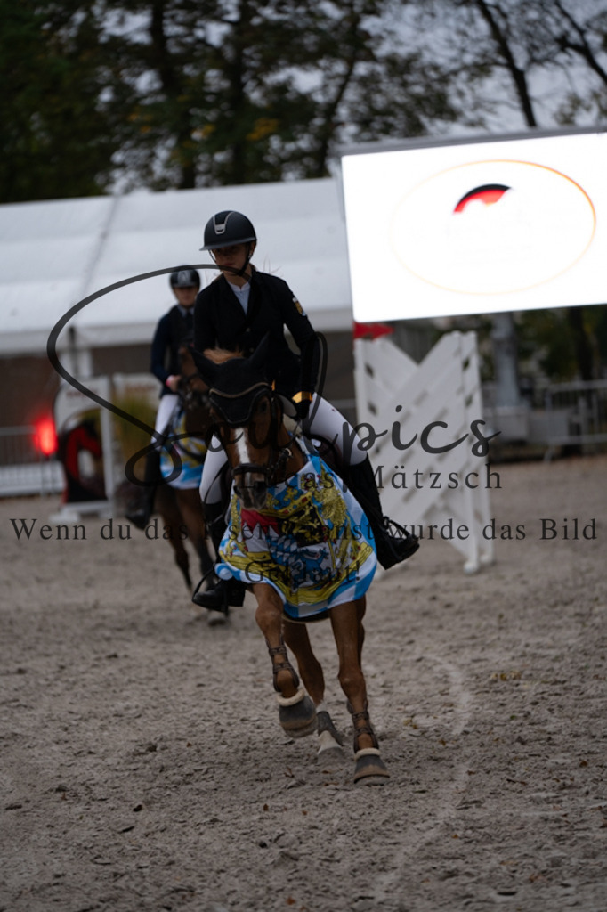 A7V00215 | Pferdefotograf