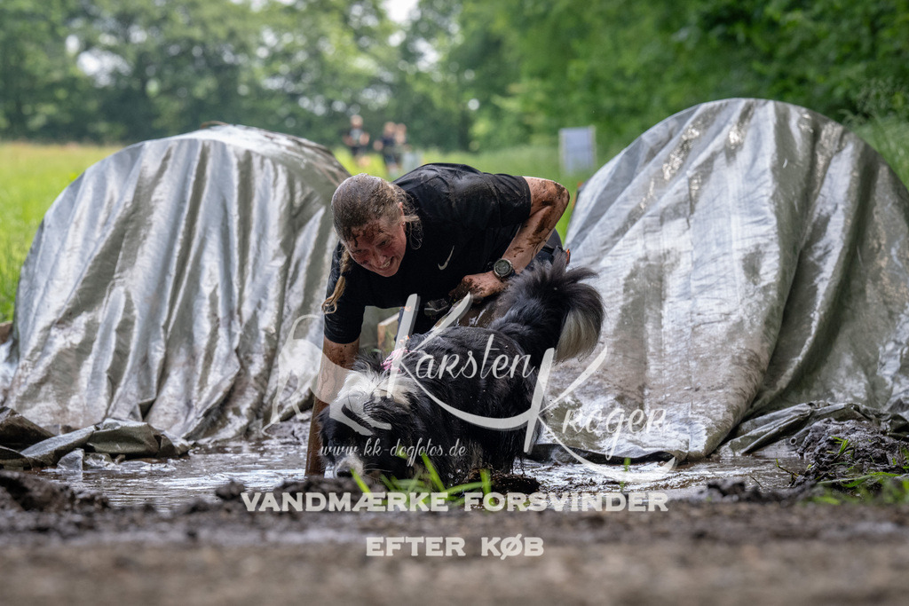 1139_ZZ93671 | kk-dogfotos