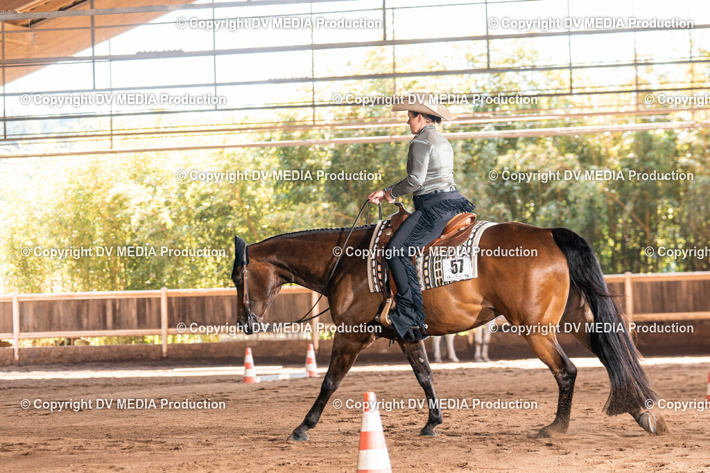 Erbach Tag 3-340 | dv-media-shop - Realisiert mit Pictrs.com