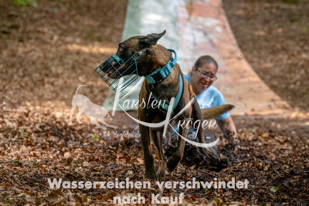 1258_ZZ91634-Bearbeitet | kk-dogfotos