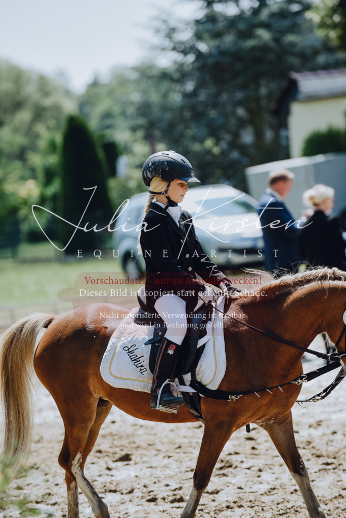 DSC_2312 | Pferde- und Turnierfotografie in Westsachsen. Pferdeportraits, Auftragszeichnungen und intuitive Kunst.