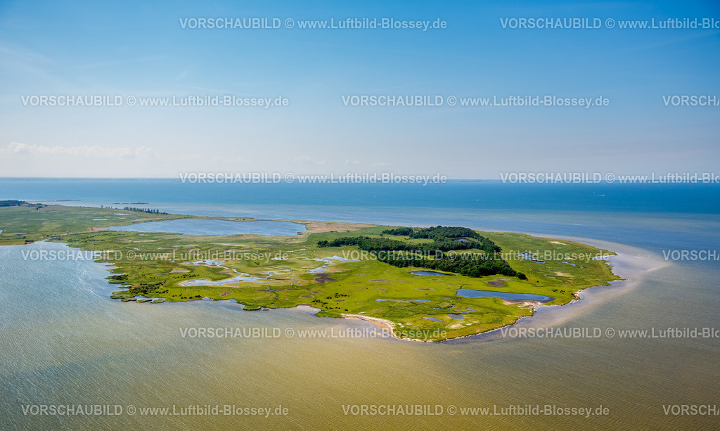 Usedom16062165Lubmin | Naturschutzgebiet Halbinsel Struck, Freesendorfer See, Insel Usedom,  Peenemünde, Ostsee, , Deutschland