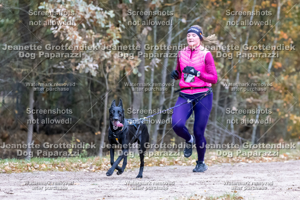 Dog Paparazzi - SD CaniX Championship 2025-124 | Dog Paparazzi Jeanette Grottendiek Fotografie & Videografie