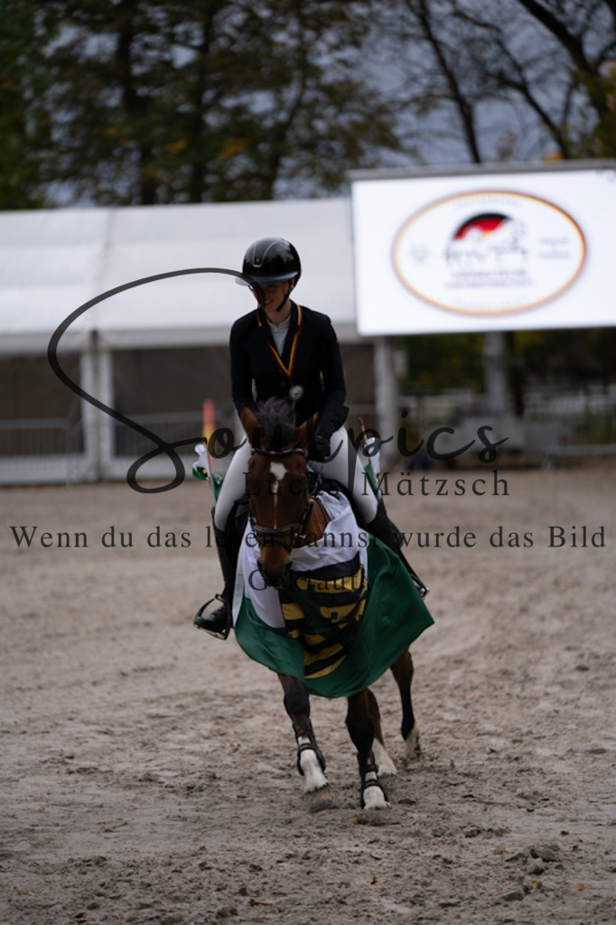 A7V01262 | Pferdefotograf