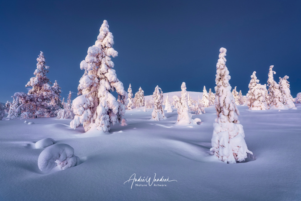 Lappland zur blauen Stunde | Andre Wandrei - Nature Artworx - Realisiert mit Pictrs.com