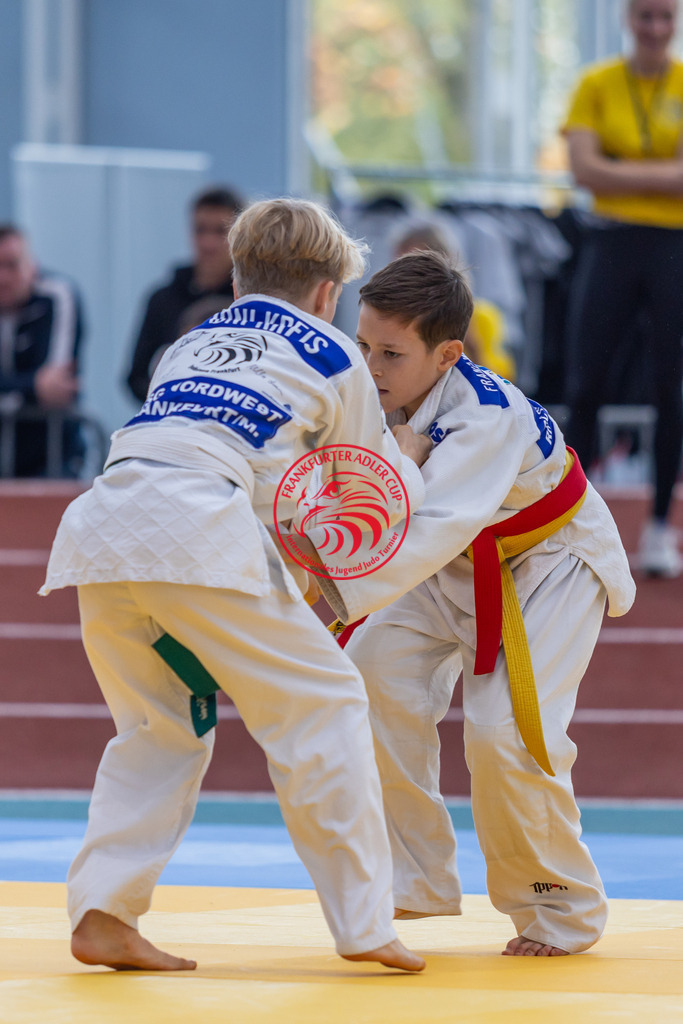 Internationaler Adler Cup 2024 | Foto vom Internationalen Adler Cup Judo Turnier im Sport- und Freizeitzentrum Kalbach im Oktober 2024 - Realisiert mit Pictrs.com