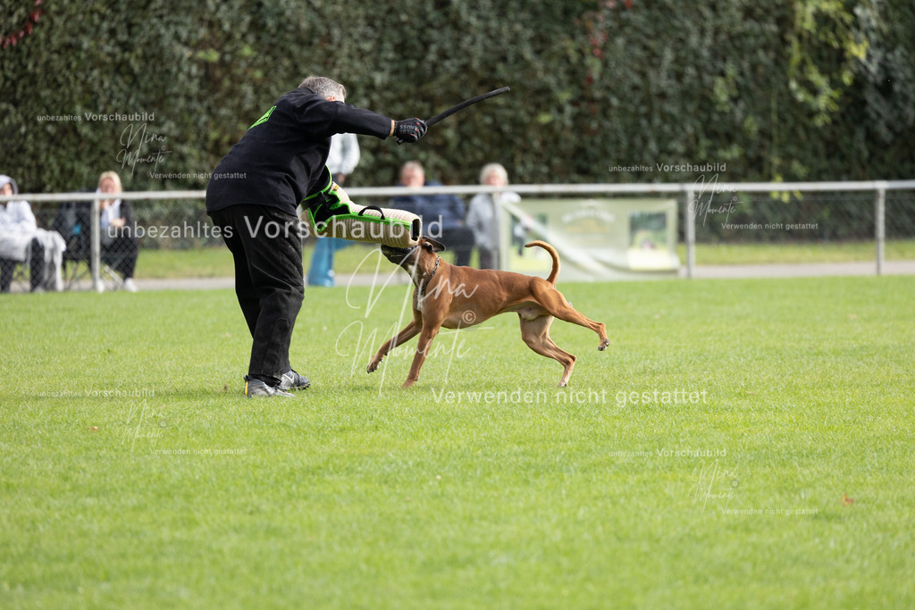 _16A7060 | Einzigartige Fotos von Hunden & Menschen –Actionfotos, Portraits, Vereinsaufnahmen & Paarshootings – authentisch, lebendig & mit Herz.