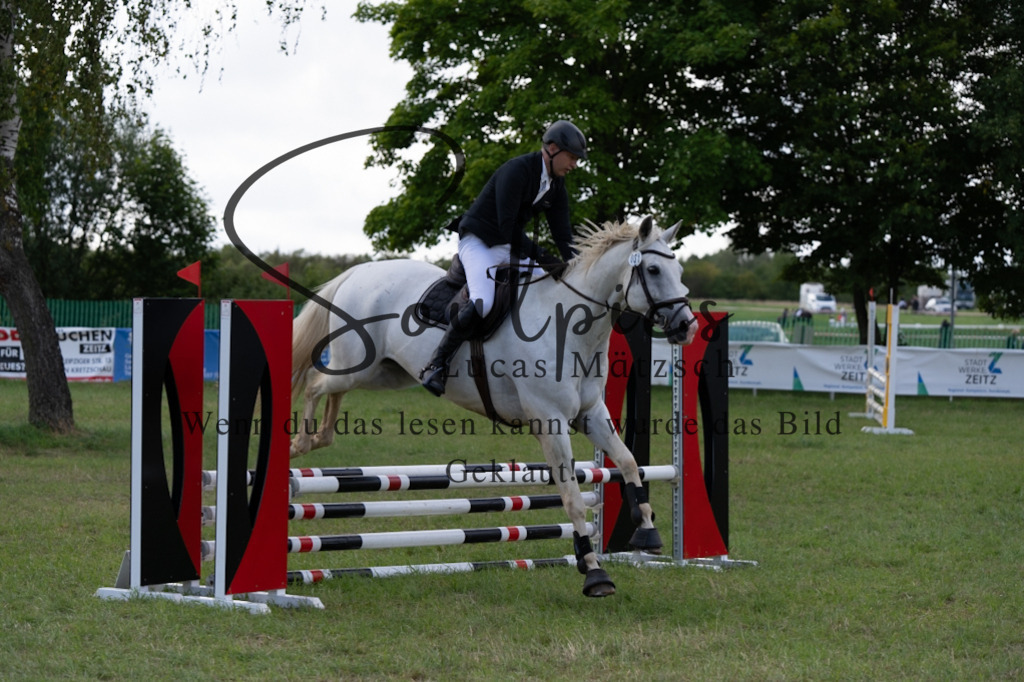 A7V05225 | Pferdefotograf