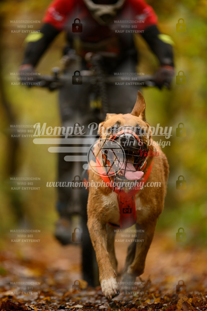 MompixPhotography_CD7S_DI_Bike-53 | mompixphotography