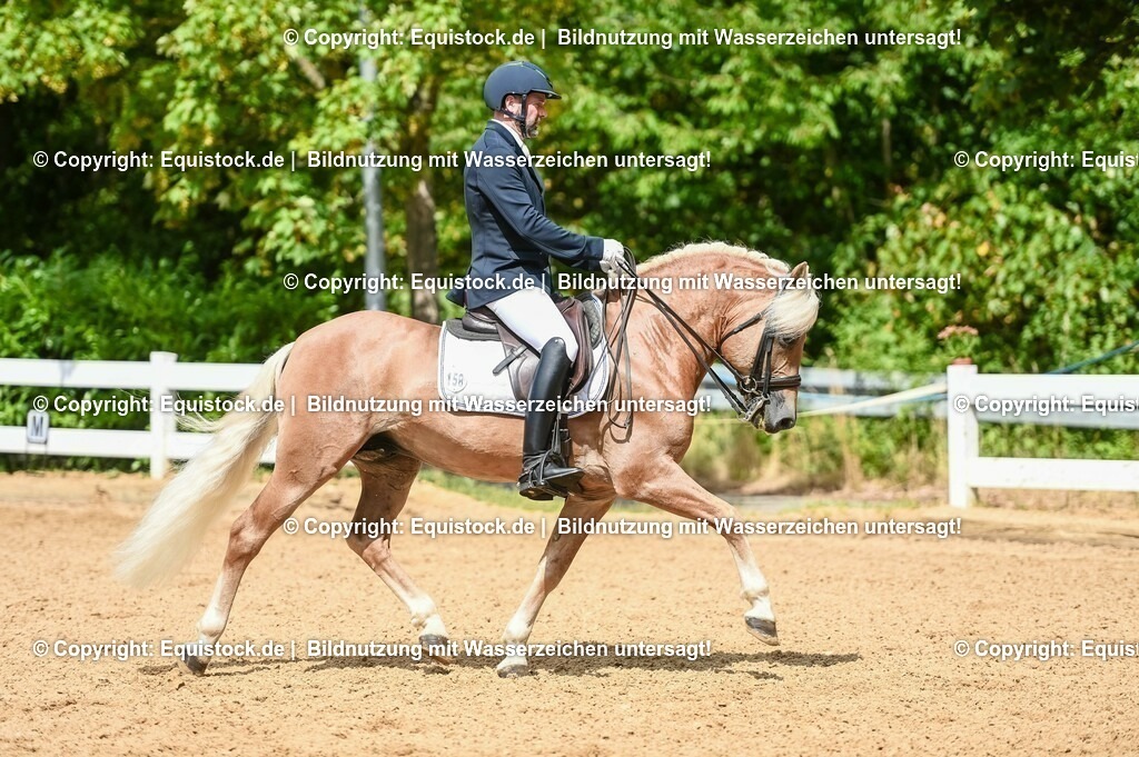 20230716_01_Dressurprüfung Kl.M_0169 | equistock