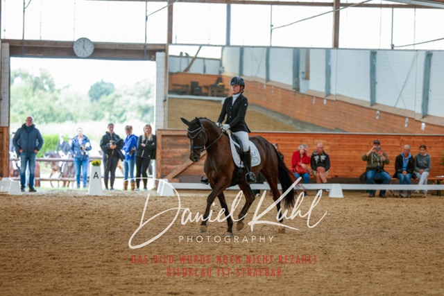 _62_5976 | Turniersportfotografie; Pferdefotografie; Dressurfotografie