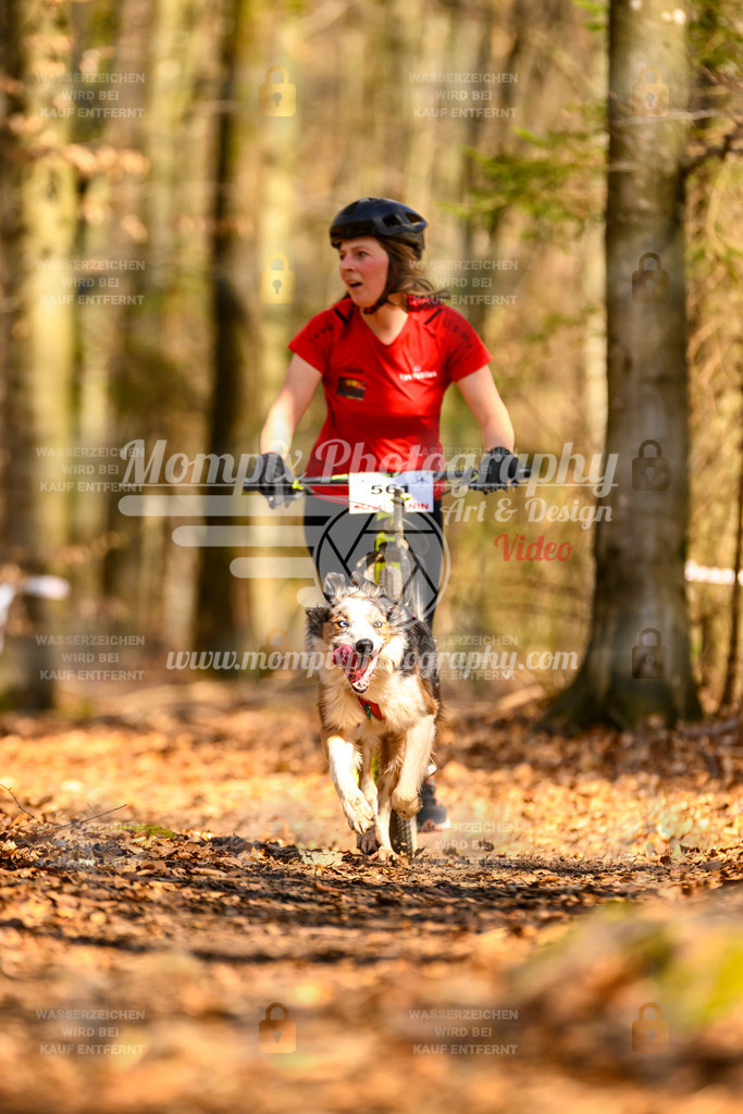 MompixPhotography_Habay2025_SA_SCO-55 | PayLife
