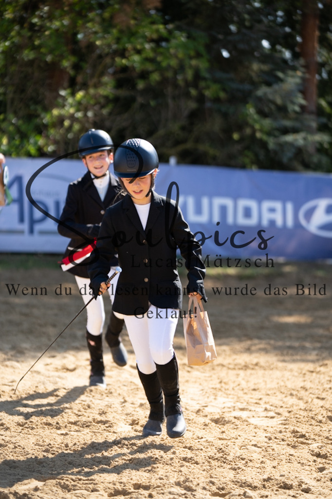 A7V02468 | Pferdefotograf