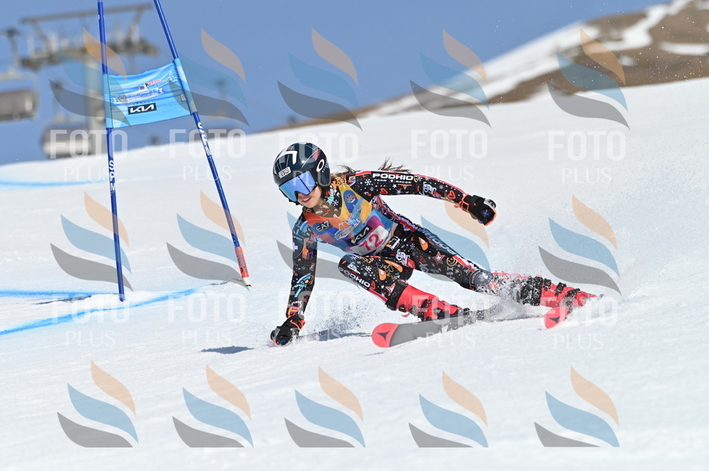 BGV_8946 | holidayphoto