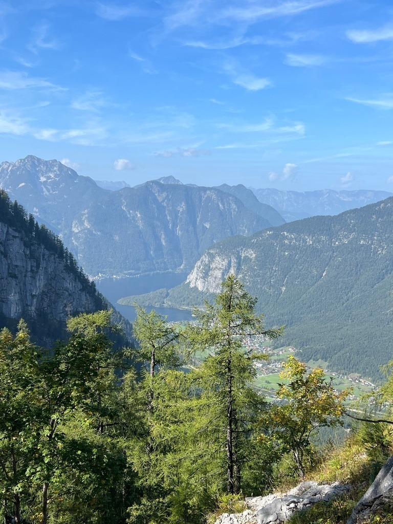 IMG_8491 | ace - Realisiert mit Pictrs.com