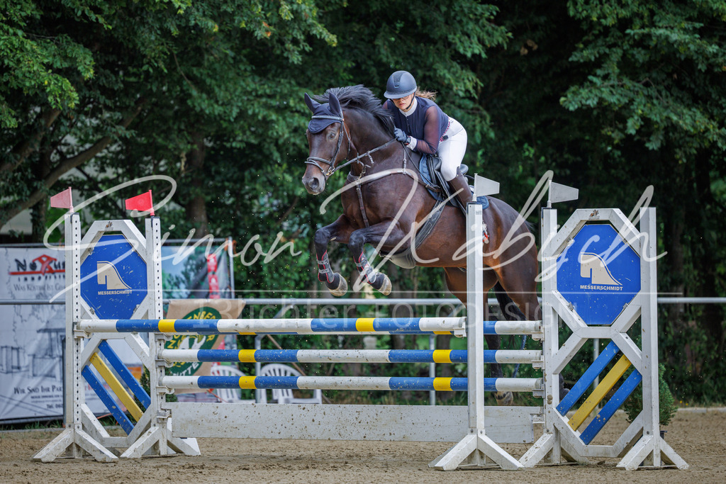 20260705-_3LI6449 | Tierfotografie Pferde, Hunde, Katzen, Haustiere.
Turnierfotografie Reitturniere, Reiten, Springreiten, Dressur in Hanau, dem Main-Kinzig-Kreis und dem Rhein-Main- Gebiet um Frankfurt