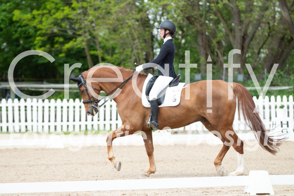 IMG_6126 | Creatify Fotografie