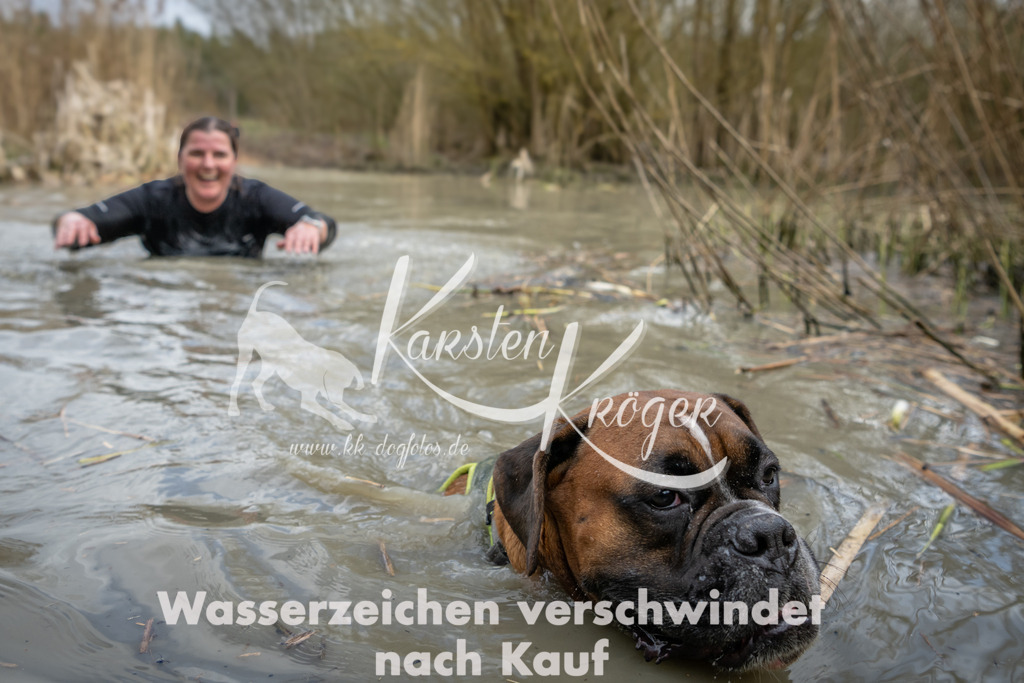 1557_ZZ94919 | kk-dogfotos
