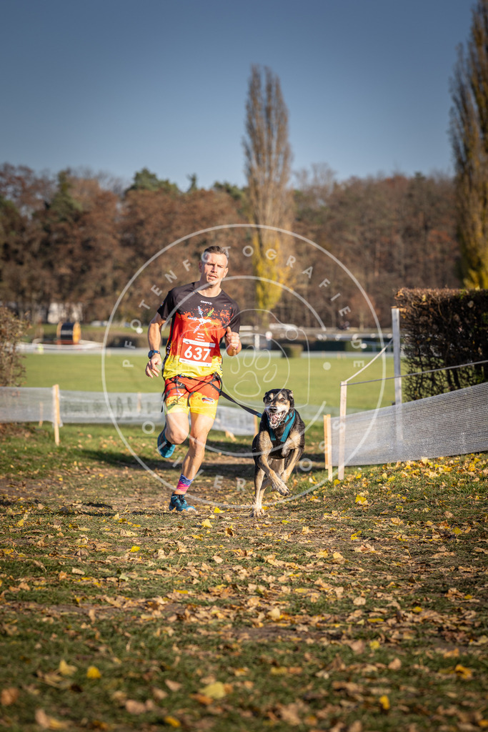 CaniXpix_DV3A0243 | Hundefotografie, Tierfotograf, Pfotenfotografie, Fotoshooting Hund, Hunde Portrait, Hundesport, Hundeportraits, Heideshooting, Hunde, Sportfotograf, Hundefotograf, Turnierhundsport, THS,  - Realisiert mit Pictrs.com