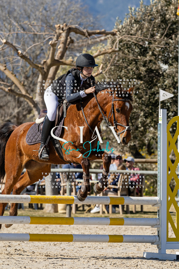 IMG_9503 | s-jay-photography - Realisiert mit Pictrs.com