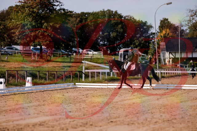 2026_10_03_Siefer-Hof_115623_Z81_97121854 | Professionelle Reitsport-, Turnier- und Eventfotografie von Robert Broda. Galerien mit ausgewählten und bearbeiteten Bildern direkt online ansehen und bestellen.