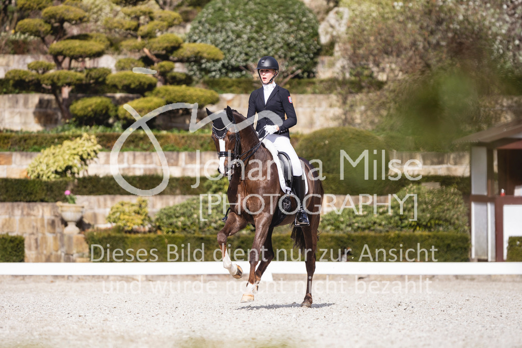 260411_Kronberg_Dressur-M2_Jun-423 | Deine schönsten Turniermomente als professionelle Fotos! Entdecke hochwertige Pferdesport-Fotografie im Online-Shop. Jetzt Fotos finden & bestellen!