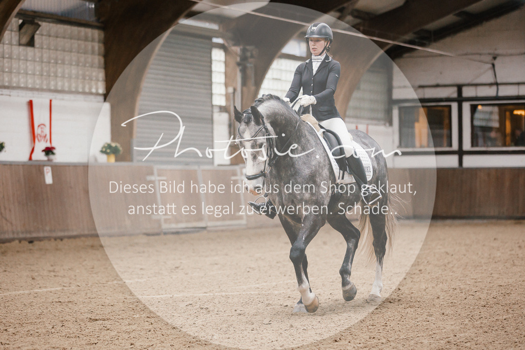 3I6A6060 | Stimmungsvolle Portraits und Reitsportfotografie im Ruhrgebiet und im Münsterland.

Pferdefotografie, Hundefotografie, Tierfotografie, Reportagen, Portraits von Tier und Mensch, Turnierfotografie in Bochum, Recklinghausen, Marl, Haltern am See, Dülmen.. - Realisiert mit Pictrs.com