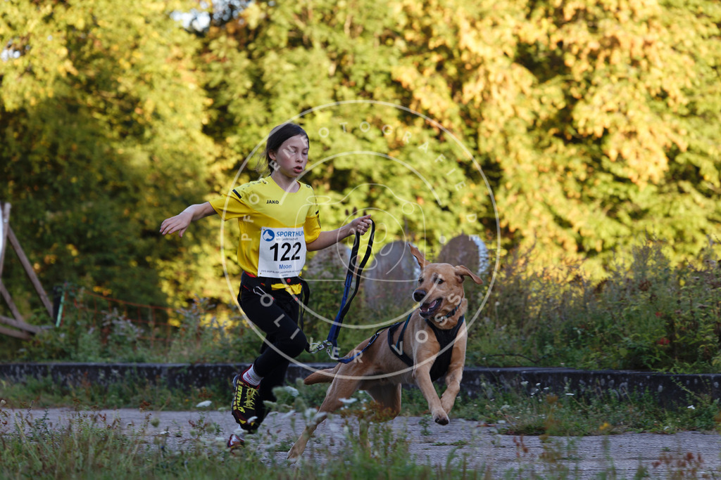 0L8A4302 | Hundefotografie, Tierfotograf, Pfotenfotografie, Fotoshooting Hund, Hunde Portrait, Hundesport, Hundeportraits, Heideshooting, Hunde, Sportfotograf, Hundefotograf, Turnierhundsport, THS,  - Realisiert mit Pictrs.com