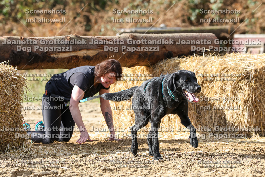 Dog Paparazzi - Strongdog 10-25-5075 | Dog Paparazzi Jeanette Grottendiek Fotografie & Videografie - Realisiert mit Pictrs.com