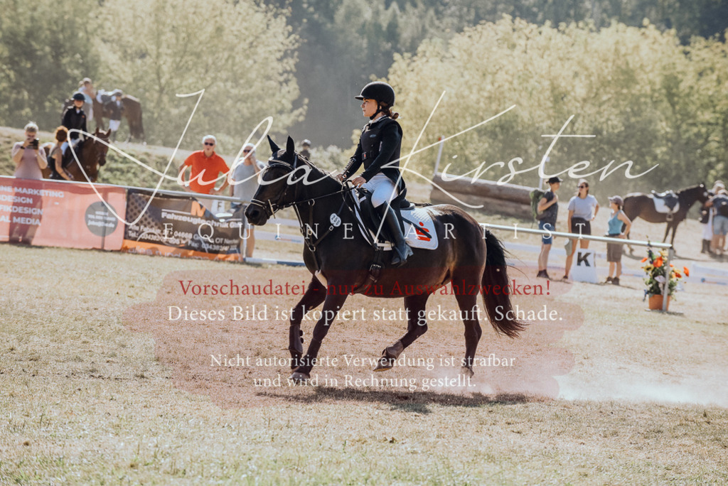 DSC_6105 | Pferde- und Turnierfotografie in Westsachsen. Pferdeportraits, Auftragszeichnungen und intuitive Kunst.